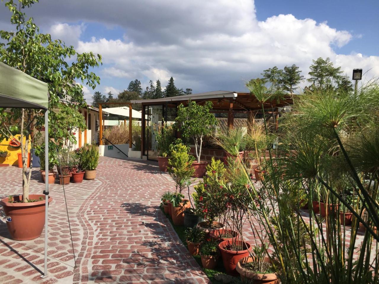 Quito Terrace Vandrarhem Exteriör bild
